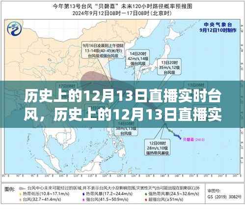 历史上的12月13日直播实时台风，全面评测与详细介绍