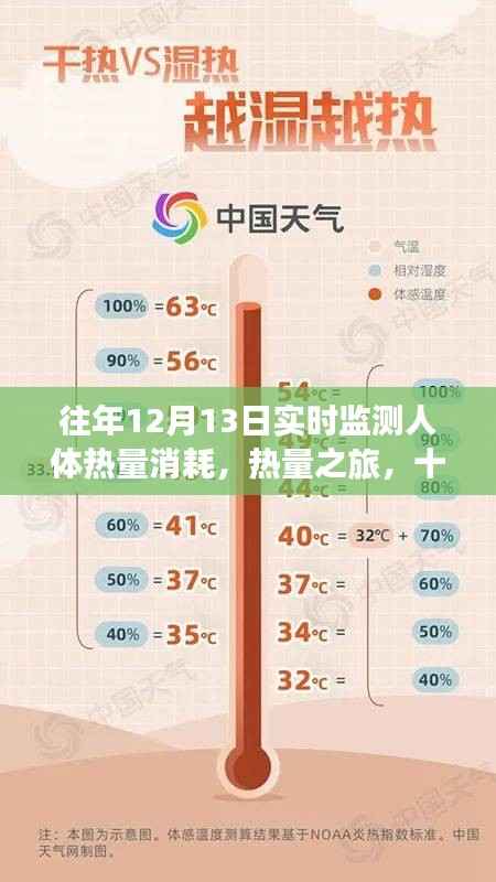 十二月十三日,热量消耗之旅与暖心日常监测