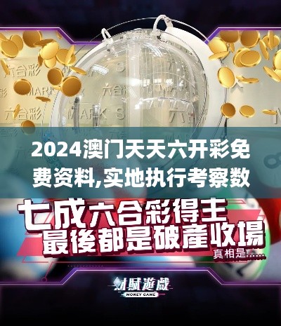 2024澳门天天六开彩免费资料,实地执行考察数据_AR1.582