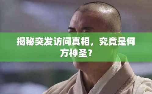 揭秘突发访问真相，究竟是何方神圣？