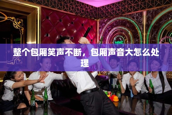 整个包厢笑声不断，包厢声音大怎么处理 