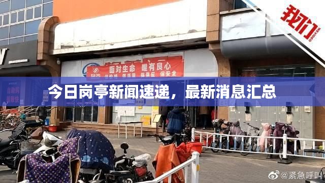今日岗亭新闻速递,最新消息汇总