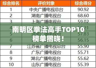 南明区拳法高手TOP10榜单揭晓！