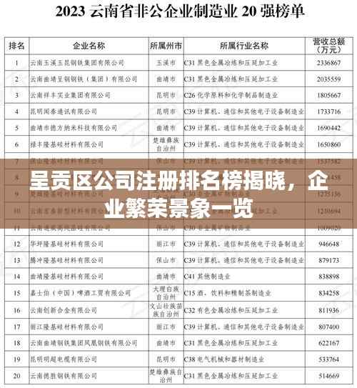 呈贡区公司注册排名榜揭晓，企业繁荣景象一览