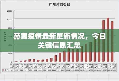 赫章疫情最新更新情况，今日关键信息汇总