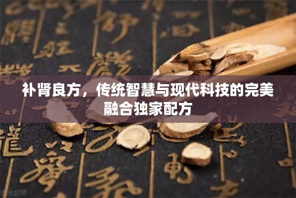 补肾良方,传统智慧与现代科技的完美融合独家配方