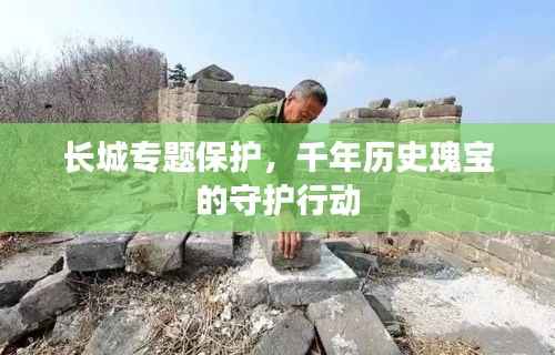 长城专题保护，千年历史瑰宝的守护行动