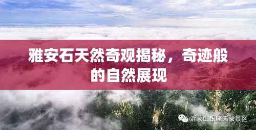 风流倜傥 第2页