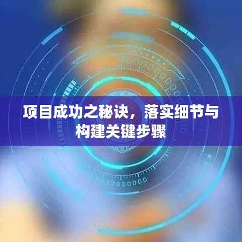 项目成功之秘诀，落实细节与构建关键步骤