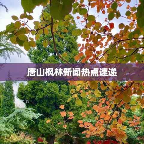 云烟 第2页