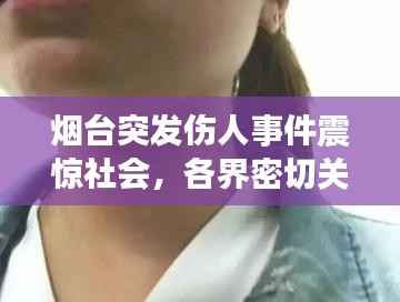 烟台突发伤人事件震惊社会,各界密切关注事件进展