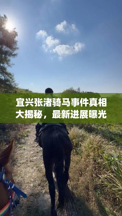 宜兴张渚骑马事件真相大揭秘，最新进展曝光