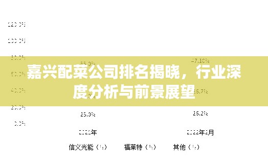 嘉兴配菜公司排名揭晓,行业深度分析与前景展望