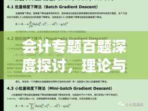会计专题百题深度探讨，理论与实践应用解析