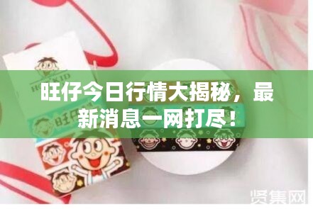 旺仔今日行情大揭秘，最新消息一网打尽！